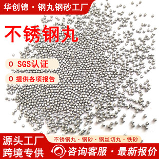 &Phi;0.3mm  304���P��衾���ڌ������нz��ĥ������T�X�Ͻ�304