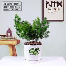 ���R�����Դ�����Ф���ļ������҃�ֲ��Gֲ�辰����辰��