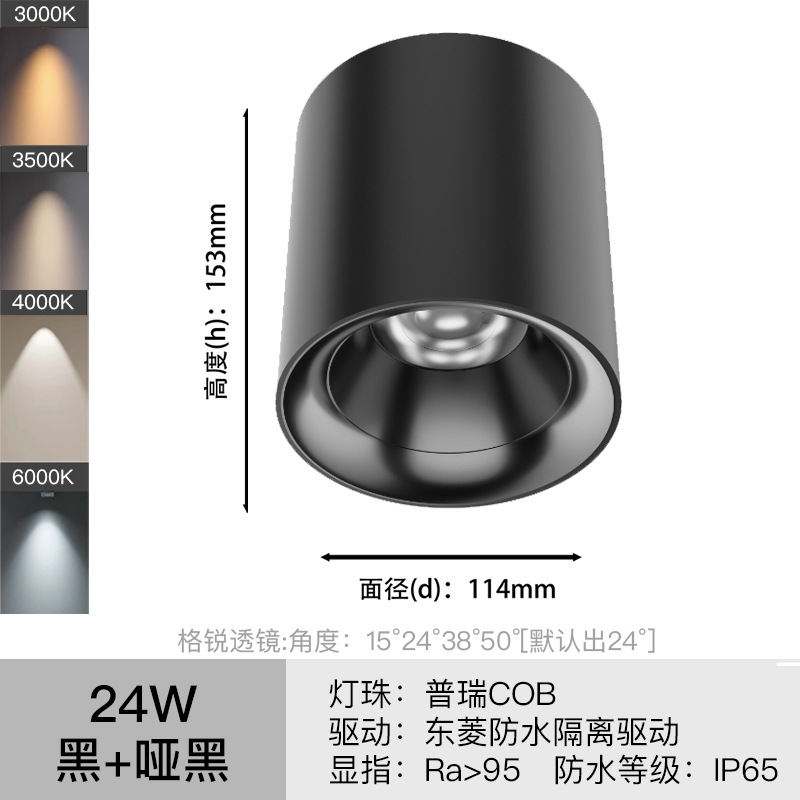 LED luz de techo impermeable al aire libre baño hogar baño techo tienda al aire libre cob luz de techo de techo