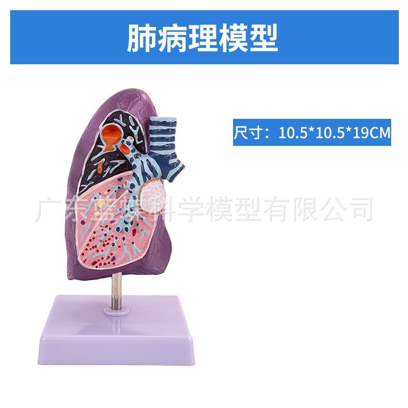 ��Ȼ��������ķ�ģ�ͺ�����״�ٷ��������ϵͳ�β�������ʽ�ѧ