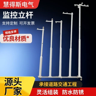 跨境防锈防腐户外喷塑白色监控立杆3m/4m/5m户外静电喷塑监控立杆
