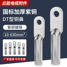 DT铜鼻子镀锡接线端子铜接头线耳紫铜国标A级