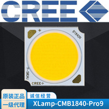 集成芯片科锐光源XLamp-CMB1840-Pro9 cree cob投影灯汽车灯灯珠