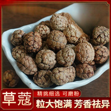 广西草蔻老蔻草豆蔻农家自产去腥解腻500g炖卤肉煲汤香料调料大全