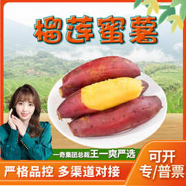 广西榴莲蜜薯 代发1/9斤新鲜沙地薯番薯红皮地瓜当季蔬菜