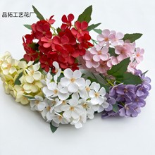 �O����5��С�黨 ��Y���b��üٻ��҃ȼҾӔ[�������廨���滨