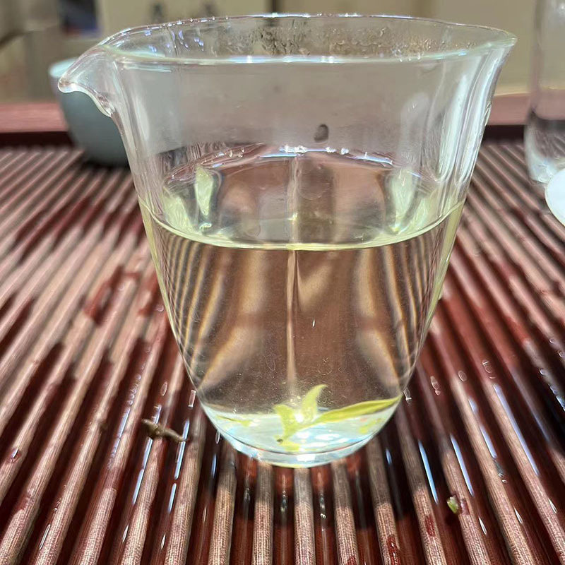 2023米芽银针D茶汤.jpg