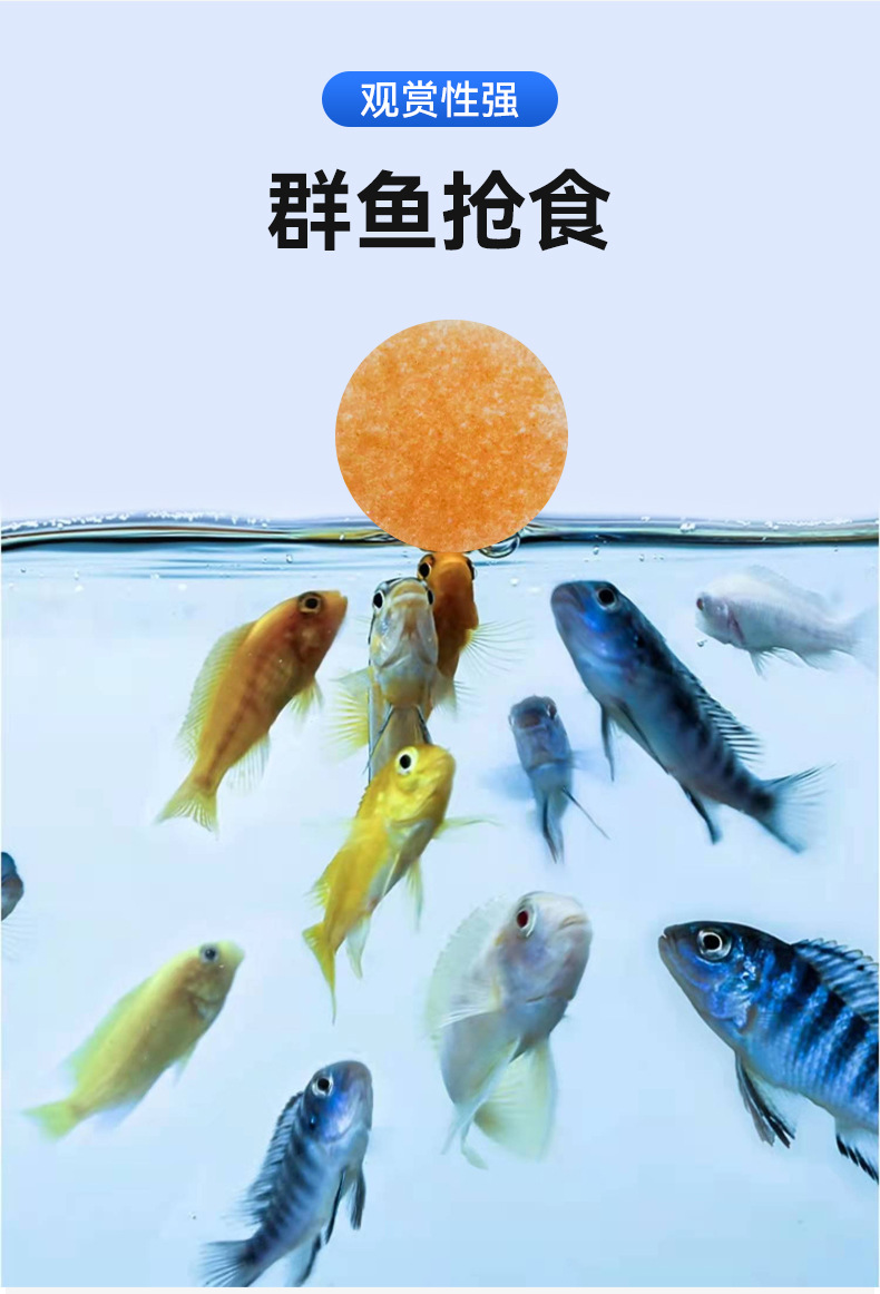 详情页_03.jpg
