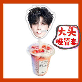登陆少年张极朱志鑫苏新皓大头杯子吸吸乐吸管套奶茶管套diy周边