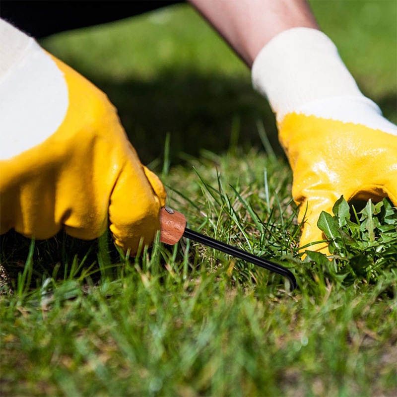 RAINBOW Jardinage Désherbage Crochet De Désherbage En Acier Inoxydable Crochet De Racine à Griffe Unique Entretien De Bonsaï En Pot Crochet De Sol Meuble Crochet En Bois-22.562.5cm, Noir, 3pcs 10 width=800