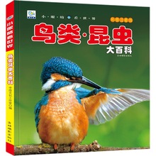 �B����x��ٿ�ȫ��ע���׃����Օ��׃��@С�W����ٿƕ��B�����