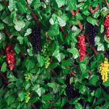 ���������~�ٗl�����Gֲ����~�ܵ�����b��ټٻ����ϾG�~�p�@