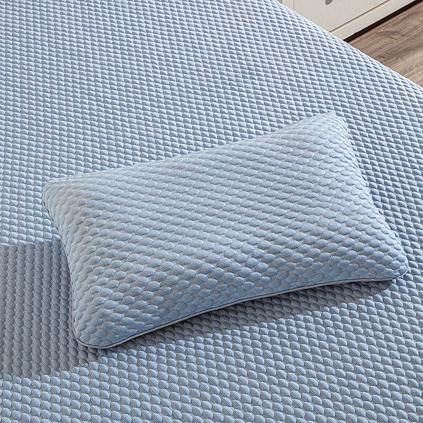 Solid color cloud-like buckwheat pillow (blue)