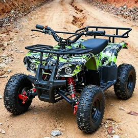 沙滩车;其他滑雪用品;滑雪板