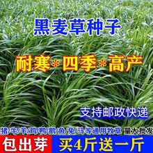 ���ݷN���M�ڶ������������ļ��Nֲ�Bţ���u���~�Z�ø߮a�ͺ�����