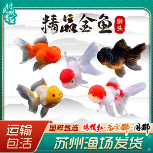 ���~���~�^�p�~��ˮ���B�ͻ���ˮ�~�m�۵�β����ˮ��С���~���w�~