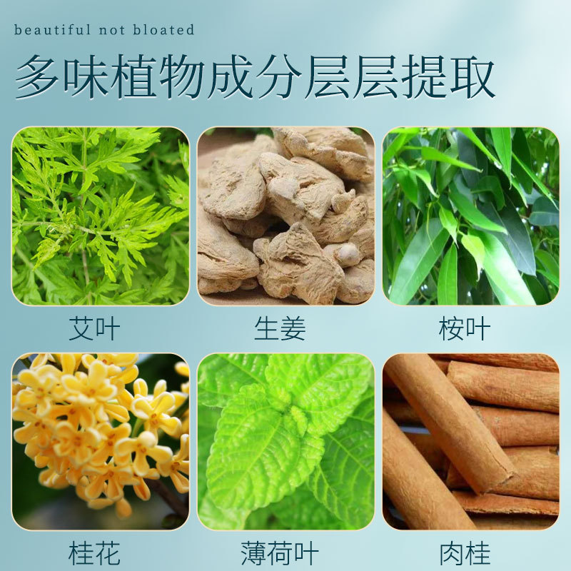 Mugwort warm moxibustion stickers ginger patches