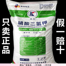 磷酸二氢钾肥料花卉家用果树农用花肥叶面肥