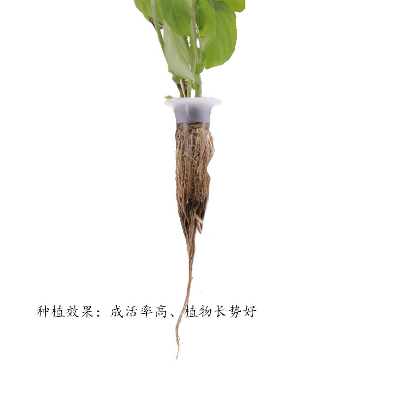 Compatible con Aerogarden máquina de plantas sin suelo cultivo de plántulas bloque plantación de plántulas esponja biológica barro de carbono BASE DE PLANTACIÓN