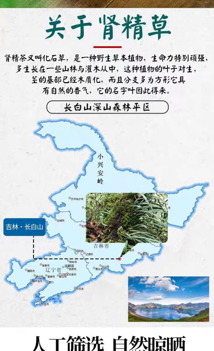 Wild Huashi Cao & Shenjing Cao (Lysimachia & Clerodendrum) — Changbai Mountain Dried Herb, 500g key features