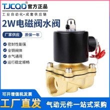 2W铜常闭电磁阀水阀气阀气动开关2分3分4分6分1寸DN08AC220VDC24V