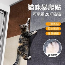 宠物用品跨境海外仓猫爬架柱通天柱猫爬猫玩具自嗨解闷寵物用品