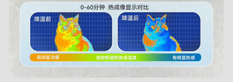 O1CN018q81Vz1QS8wPm9VXy_!!2206811161974-0-cib.jpg
