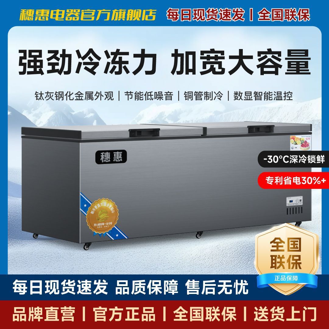 Commercial Large-Capacity Freezer Horizontal Freezer Refrigerator Refrigeration Fresh-Keeping Freezer First-Class High-Efficiency Energy-Saving