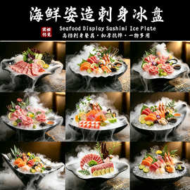 密胺创意海鲜姿造盘高档刺身盘会所酒店商用三文鱼刺身专用干冰盘