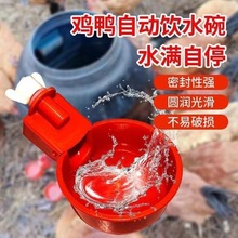 家禽饮水器鸡水碗家禽自动饮水碗鸡饮水杯喂水器鹌鹑自动饮水器