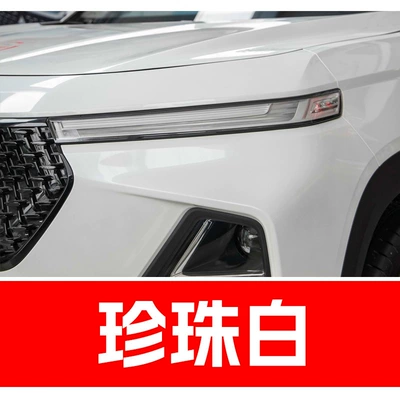 Hongguang Special Car Color Waterproof – Avtomobil boya qələmləri - take-one-shot-and-two-color-paint-1-and-brightening-polish-1-and-then-send-a-tool-kit-sandpaper-cleaning-cotton-pen-tip-pearl-white