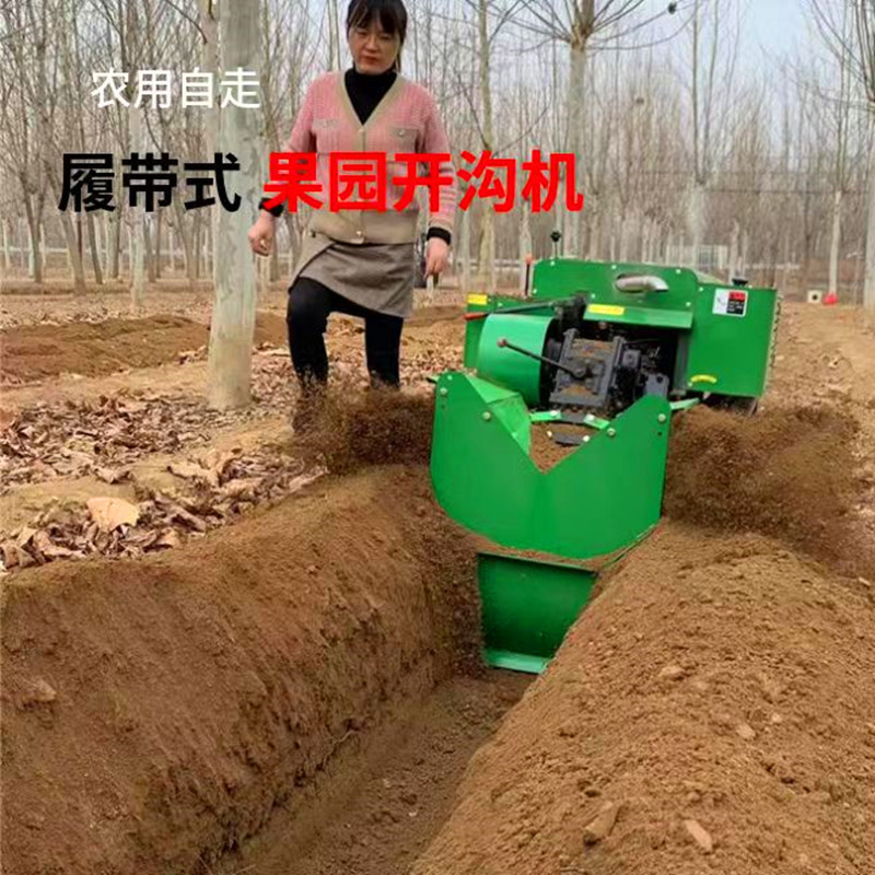 微信图片_20241227110924_副本