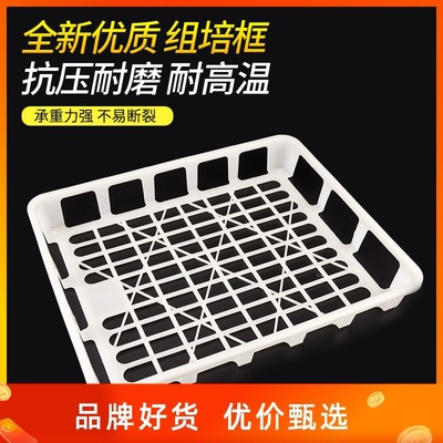 金农工厂耐高温聚丙烯食用菌瓶苗容器框实验室组培托盘塑料周转筐|ms