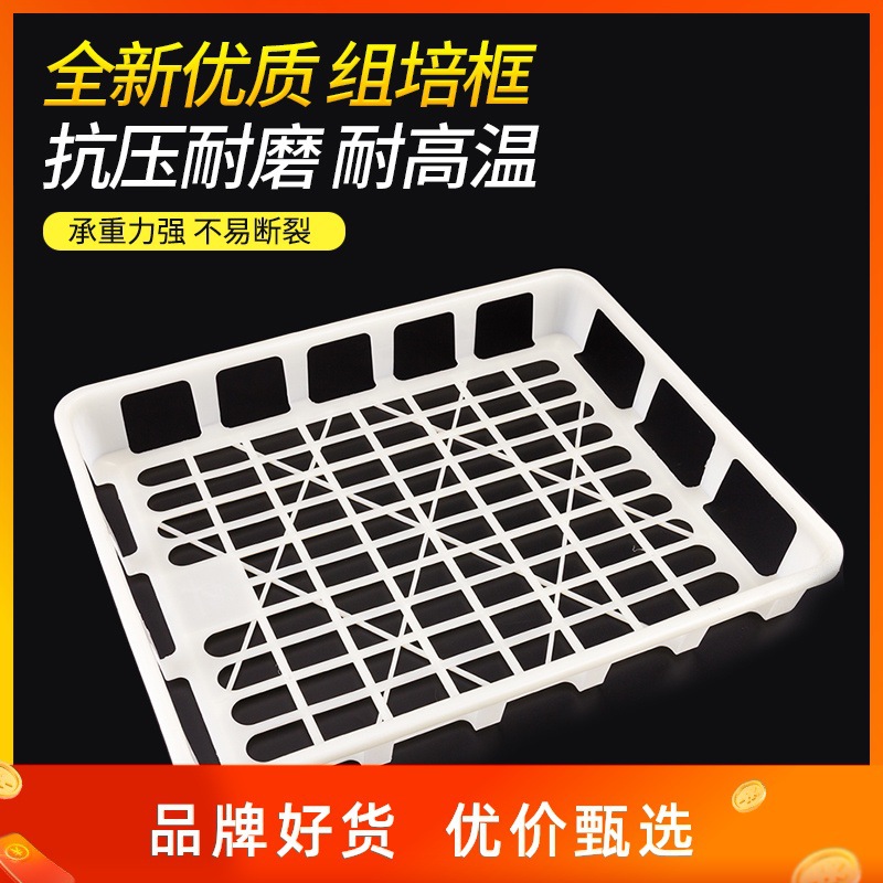 金农工厂耐高温聚丙烯食用菌瓶苗容器框实验室组培托盘塑料周转筐|ms