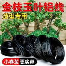 �辰������׮���͹�����˿ֲ��̶��߻��ܻ�֦������˿�̾�����