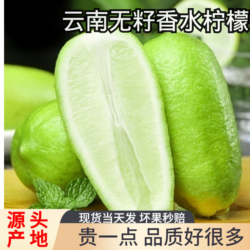 Authentic Perfume Lemon Fresh First-Class Seasonal Fruit Authentic Juicy Seedless Green Lemon Milk Tea Shop Exclusive