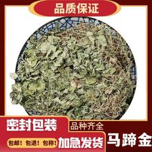 中药材 马蹄金 荷包草 黄胆草 小金钱草 螺丕草 小马蹄草化石草