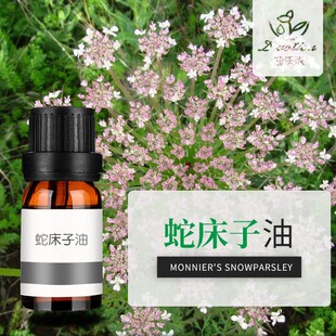 �ߴ�����Cnidium monnieri�ߴ��Ӿ��ͳ��R����ȡ�η�����ԭ�����l
