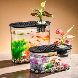 塑料跨境鱼缸桌面透明椭圆水培景观小金鱼缸耐摔微观生态观赏乌龟