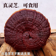 -״`֥辰^p[Ұ`֥`֥֦һԳ