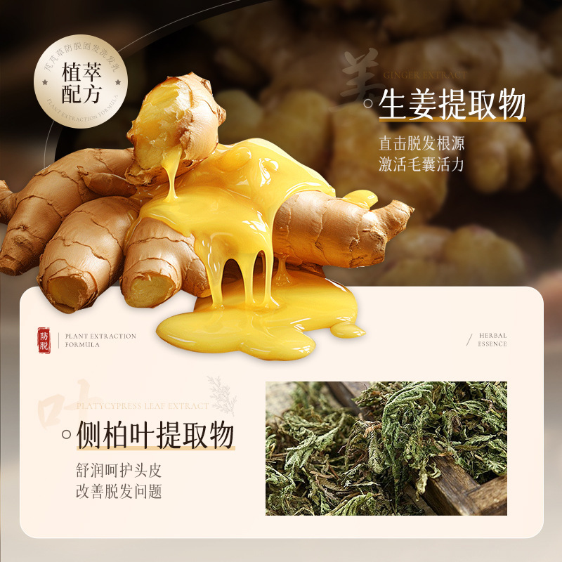 草防脱固髪シャンプー乳改善脱毛育成柔順シャンプー工場直営|undefined