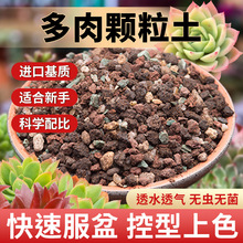 �����w���������M����̿���|�Nֲ�����~�����ʯ�w��ͨ���������