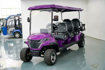 for Scenic Areas, 4-Seater and – Elektrikli qolf avtomobilləri - 8-golf-carts