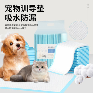 Thickened Absorbent Pet Diaper Pad Dog Training Diaper Pad Cat Diaper Comfortable Diaper in stock Wholesale