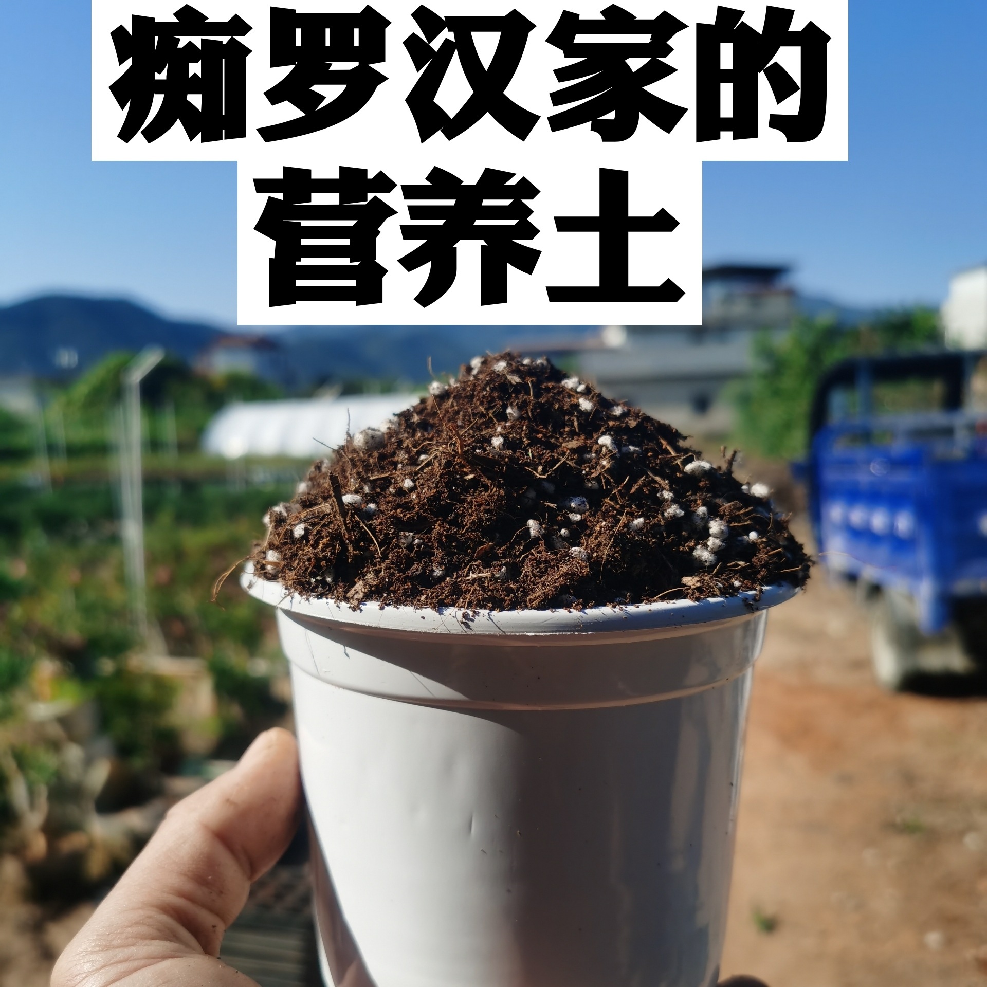罗汉松 栀子花营养土 进口缓释肥 矾肥水（出品）