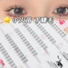 6 rows small flame lower lashes, no glue