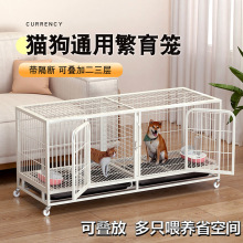 ؈�\�ӷ����\����؈��؈�䷱ֳ�\������p�Ӽ��B�\�����\������zz