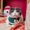 宠物圣诞围脖猫咪围兜口水巾猫猫节日装饰围嘴手工编织配饰装饰品|ms