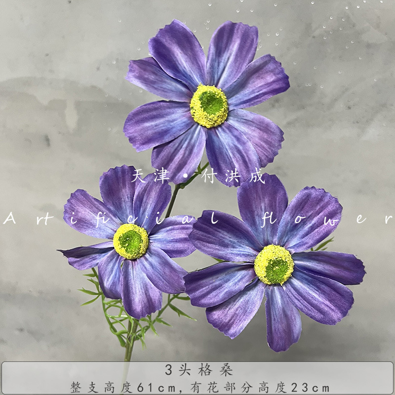 3등신 게상-딥 퍼플