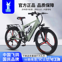 飛鳩電動山地自転車400wリチウム電池新国標成人補助電気自動車男女バッテリー自転車